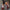 a7a6c9f8-0778-4d1d-a5de-5988b374d084-Max-Origin
