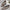 a882c40c-4deb-44e3-b8be-79b6187d449e-Max
