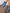 a8c01b1ddf754e1e8ce7d68509076f98-Max-Origin
