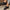 a92043295983481cb79c82cf080d31f4-Max-Origin