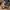 a926dd46c164400a9df0046ce8ab8684-Max-Origin