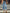 a9d4f339-fe60-4178-ac95-fd232907c3ed-Max