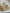 aa10a81d-df34-43f3-9703-0948e56275ca-Max-Origin