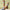 ab0131a5-aa9a-44b4-9fd0-6ed8c58c3afc-Max-Origin