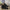 abb7cee3-2bb7-4880-a78b-5054c567e83b-Max