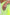 abf615fd-a016-45f6-80b0-9b0c8a3aafab-Max-Origin