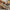 ac578718bb47447b9a5cf34a8079e5a3-Max-Origin