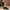 ac7286ae854b4fb3913ccf9f84ecc3a4-Max-Origin