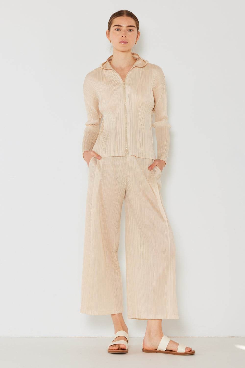 Marina West Swim Pleated Wide-Leg Pants with Side Pleat Detail - DaTrendStore.Com