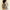 ad9b0868-8c1f-4fb4-9538-63192cf37f18-Max