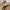 ae1ceb6d-d1dc-41f7-9588-089fb771f155-Max-Origin