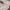 ae2bfe98-1afd-4823-b72e-df7905074912-Max-Origin