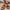 ae4a573dd1ec49b79604e68261ab642b-Max-Origin