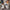 aebdd29f34694269b751b5d813eb1622-Max-Origin