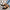 af24be1f-bd35-4667-92a1-4d9b7e640ea4-Max