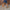 b0c5db36-4707-4389-afbe-66fa5eccdc11-Max