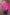 b156cf1b-055d-42d1-a560-c95a2ed49da1-Max