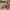 b17beae7489b4e6fb9d4341de57a5b64-Max-Origin