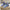 b1aed48e-6f9e-411c-995c-11d7a0e527ad-Max