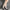 b1d535d4-a4db-4654-930a-dd9c91e0b19c-Max