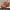 b2101464-2445-4f79-a063-110f467ad0ff-Max