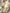 b28c8dfb-ddaa-4741-9c88-efcd875e31e2-Max-Origin