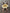 b318de09-2270-477c-9c10-9b2c5676dc3c-Max