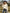 b3c723b905934030b012e6f86f565df3-Max
