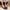 b42eee17-0981-4bd2-aeef-4b3ae317317a-Max