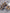 b58c38f29aee4ef3b9f0362c35cb147c-Max-Origin