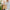 b63dbf1f6a9b433fb5f1ca763e1dca25-Max-Origin