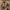 b69f8864c4a14ff3b45a7a7e289fdfea-Max
