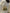 b6e83da0-610b-4b7f-92fa-71680ee9aaed-Max