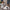 b714f162-47c5-4567-af75-6cff1c00d178-Max-Origin