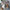 b8b2059a-f86a-4518-98dd-5e9ed405aee8-Max-Origin