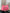 b8e31277-5028-41dd-8f5a-1a2937dfde1f-Max