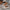 ba290353-2f24-48a7-92f3-7d54ab1e2d91-Max