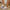 ba4d7e1e075941a98d66c6b556b2c9a3-Max-Origin
