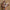 baf1f3e910be4f1dbf8d63ee534d0721-Max-Origin