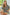 bd598284-6610-4dbc-b689-0c8ef370e3e3-Max-Origin