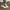 bd9cabc196754c1db4b806e91c3bd05a-Max-Origin