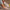 bdf973c1-28e4-411f-992c-281340cea0a9-Max-Origin