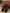 bface638-885a-495a-b144-d420d3a49af1-Max-Origin
