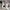 c053c2dd-542b-4923-9bc5-e12658e8f54d-Max-Origin