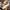 c0c467a8d5064cd0ae238b1cdfd519cd-Max-Origin