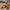 c21861a5b7da4341b20a9d18737b339c-Max-Origin