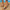 c27e81b0-182c-4b9f-8889-368e31effba3-Max-Origin