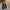 c46b72d5-7043-4acf-95d8-ab096491ab9b-Max