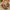 c4e9aefae31643b18bfceae10af66f80-Max-Origin