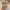 c5c0ebbb8ef3492b8d15688fcbf5a81f-Max-Origin